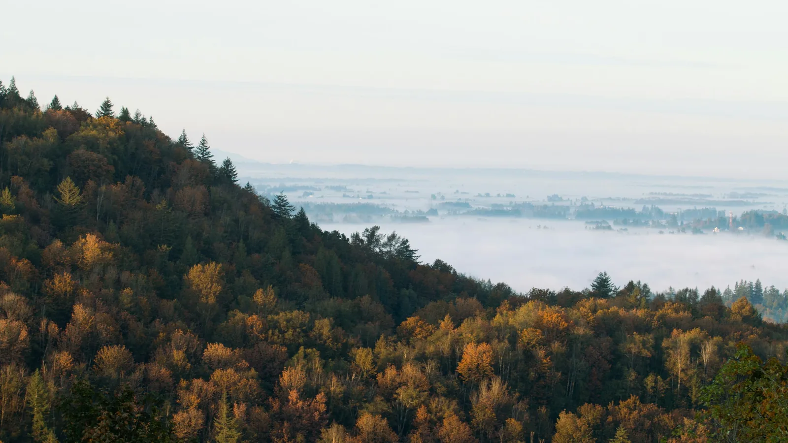 Mountain view looking over the fog-covered city in Abbotsford