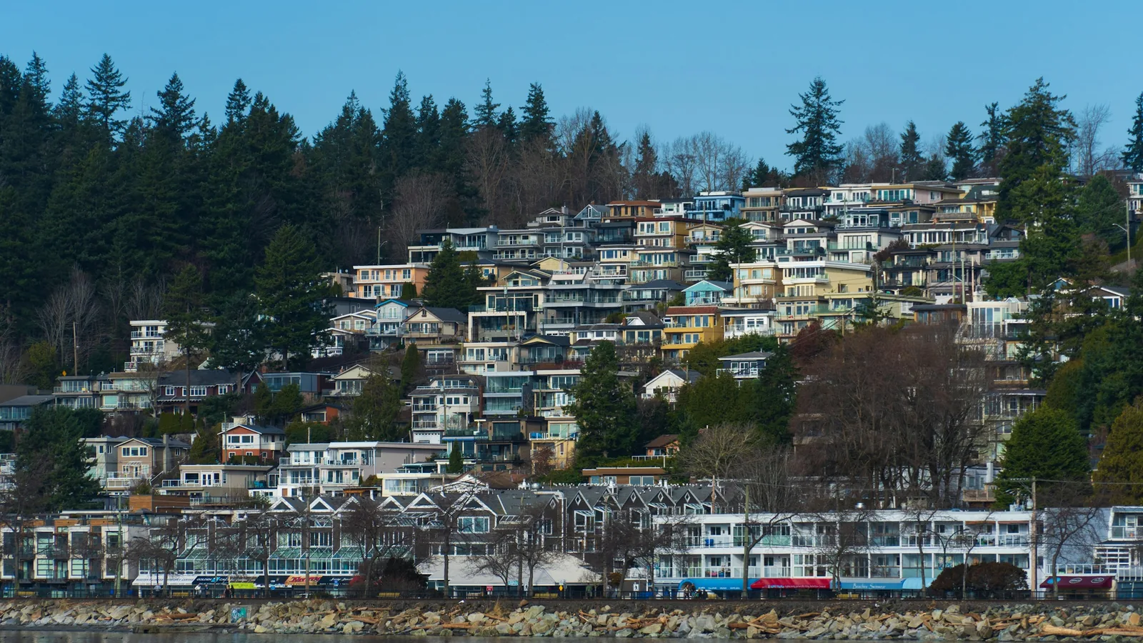 A hill of houses on a hillside with trees in the background, the White Rock waterfront