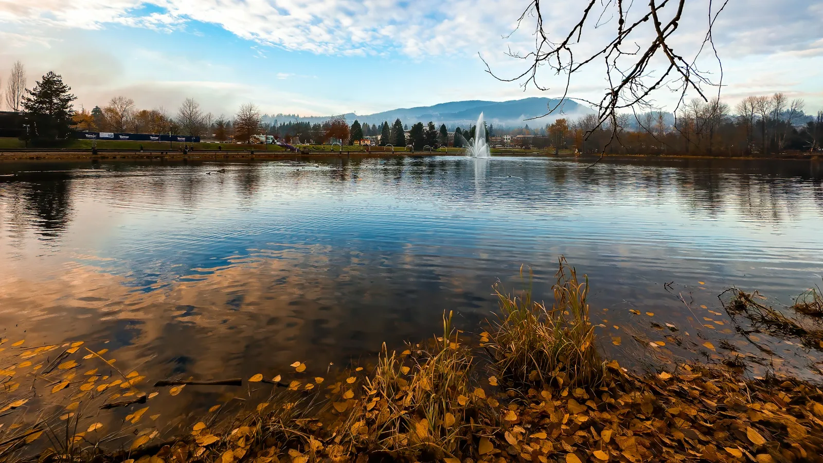A large body of water surrounded by a forest, Coquitlam