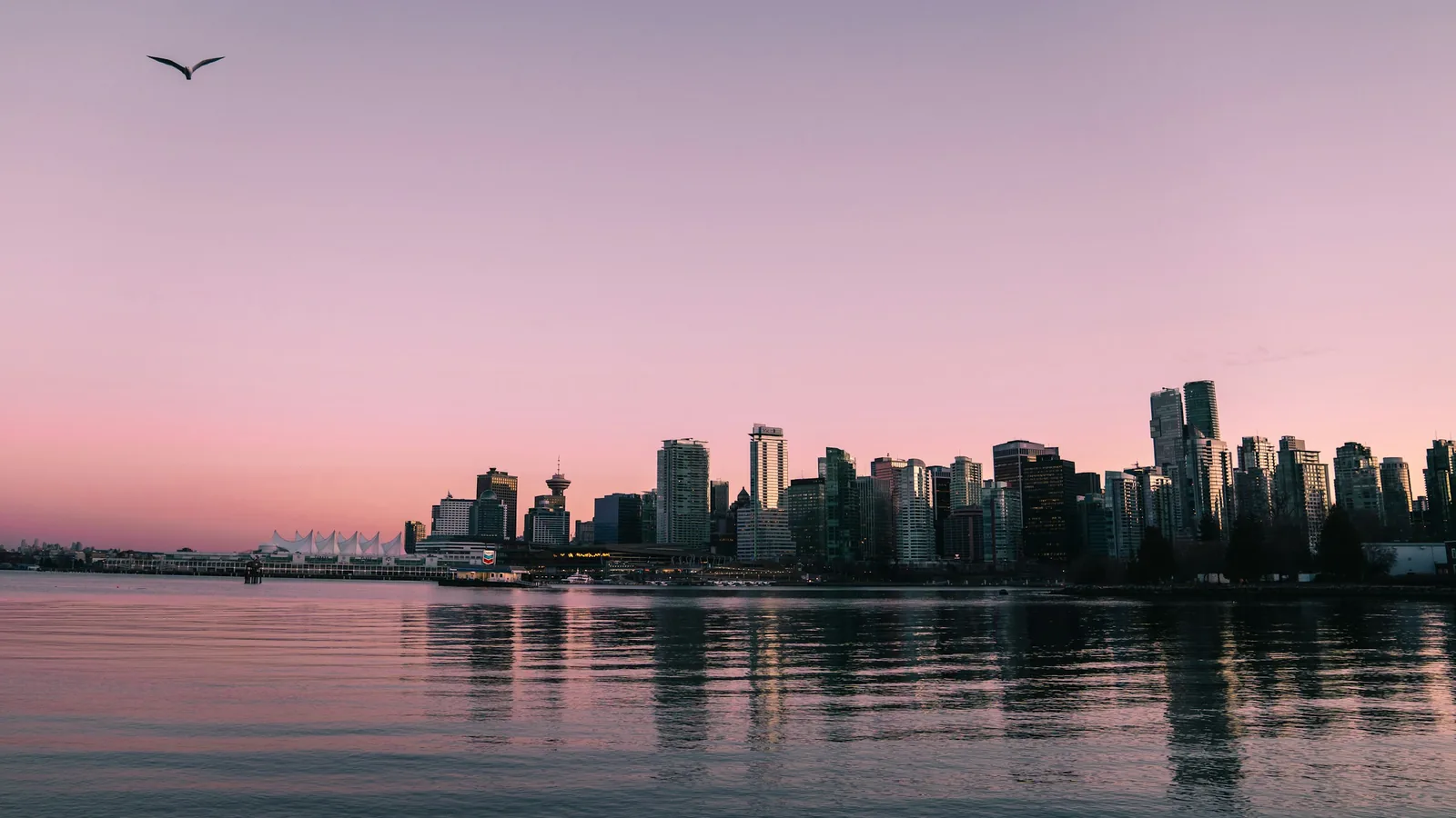 Vancouver skyline at sunset seen from Stanley Park