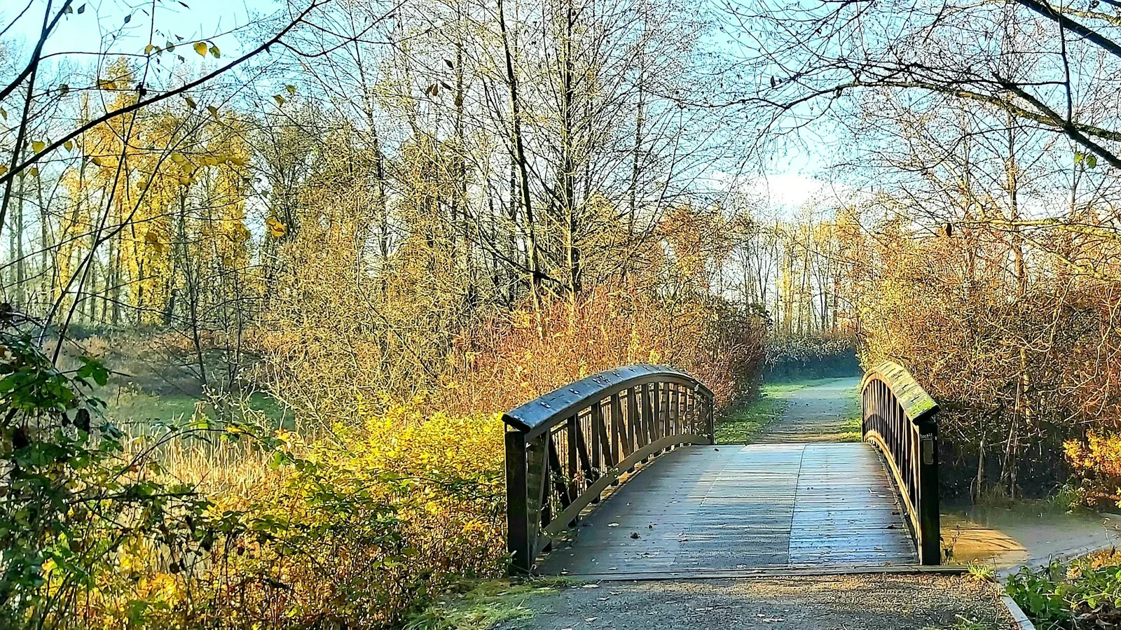 Autumn colours in Burnaby