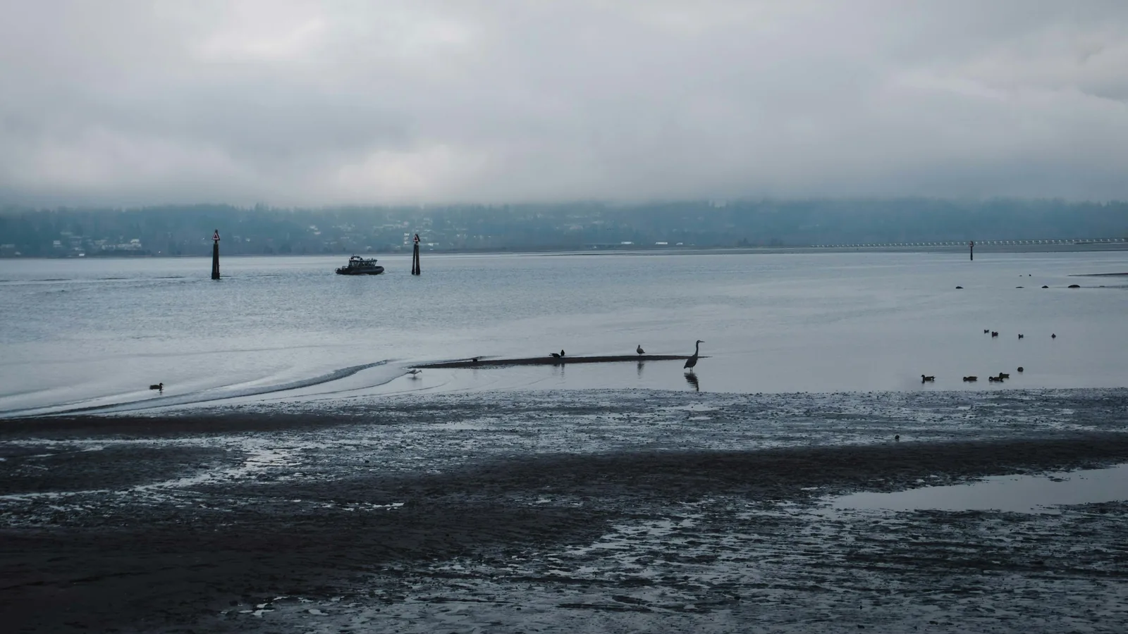 Cloudy day at the beach in the BC coast