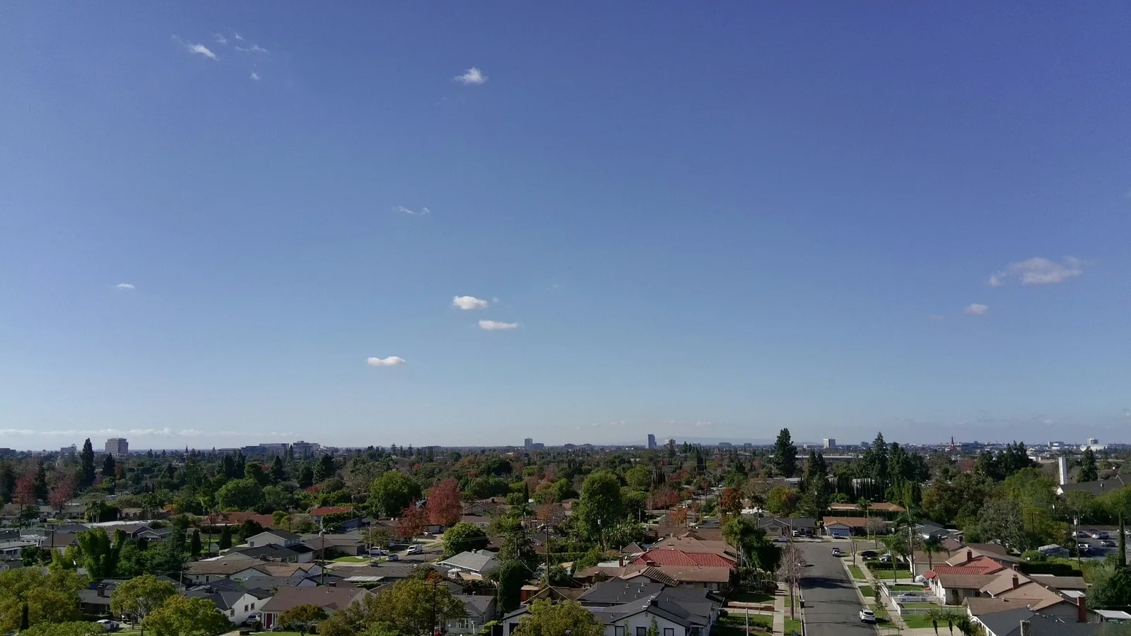 Aerial view of a tree-lined suburban neighbourhood