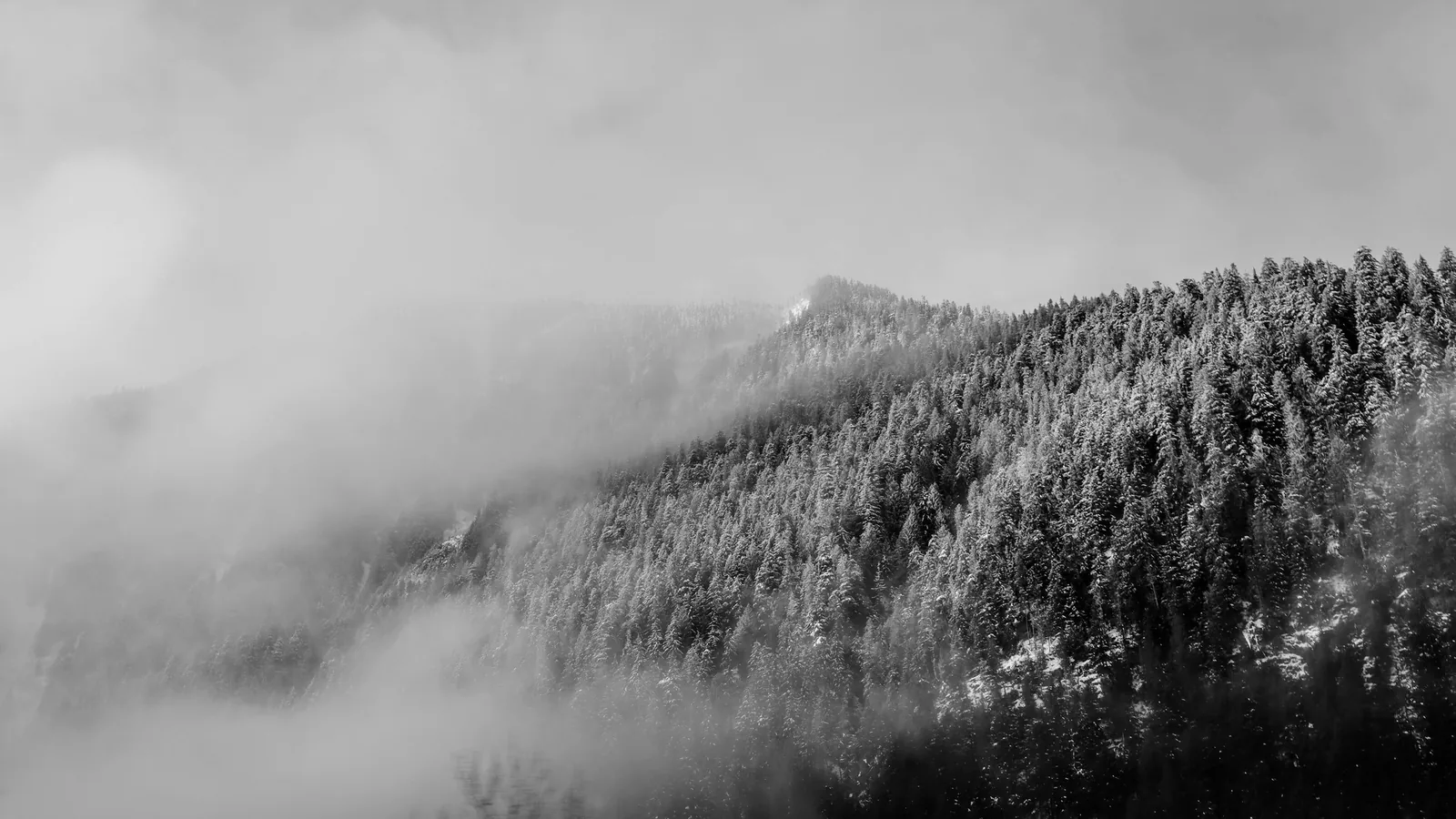 Mountain views over the Coast Mountains