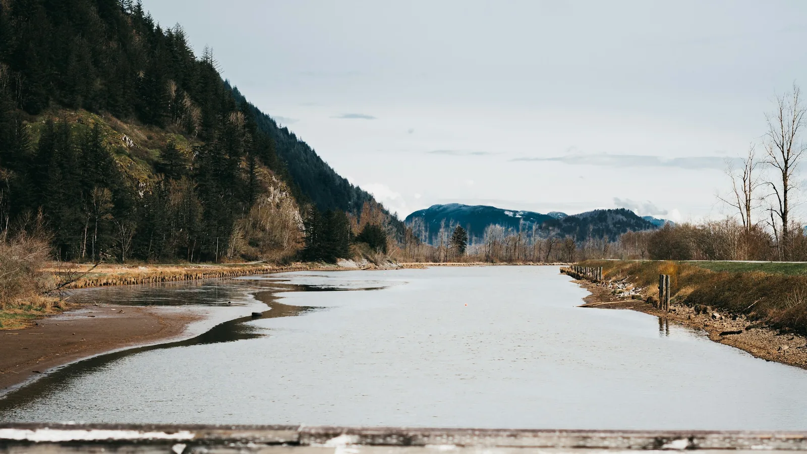 Fraser River near Abbotsford