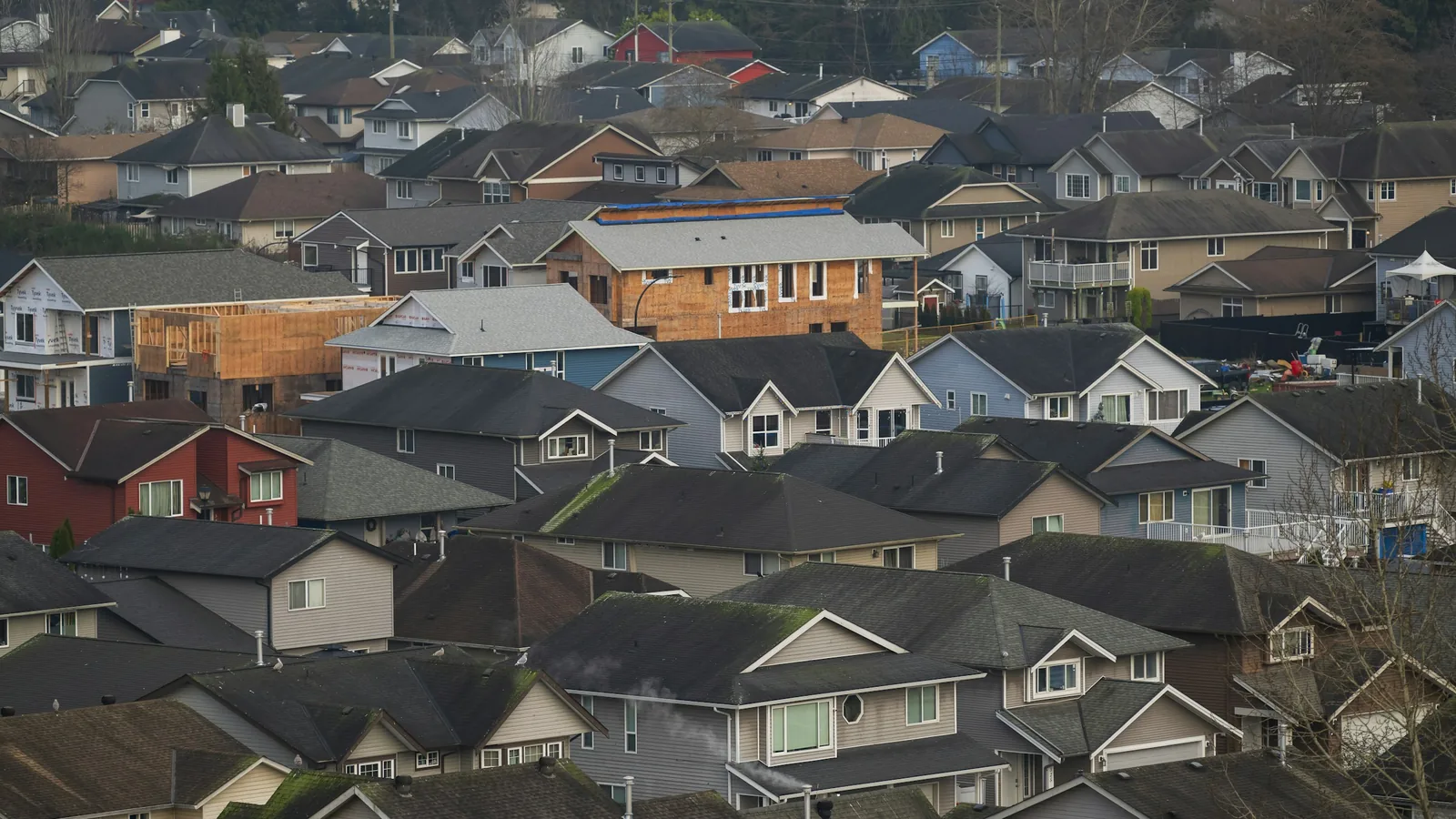 Rooftops of a dense suburban neighbourhood