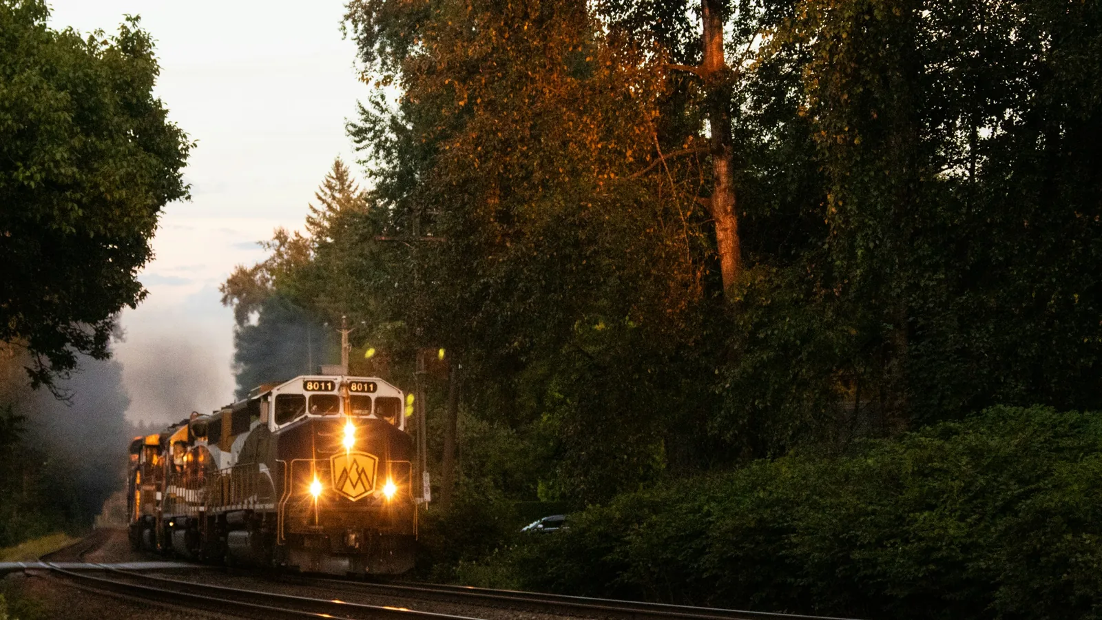 Heritage locomotive running through a forested stretch of the Fraser Valley