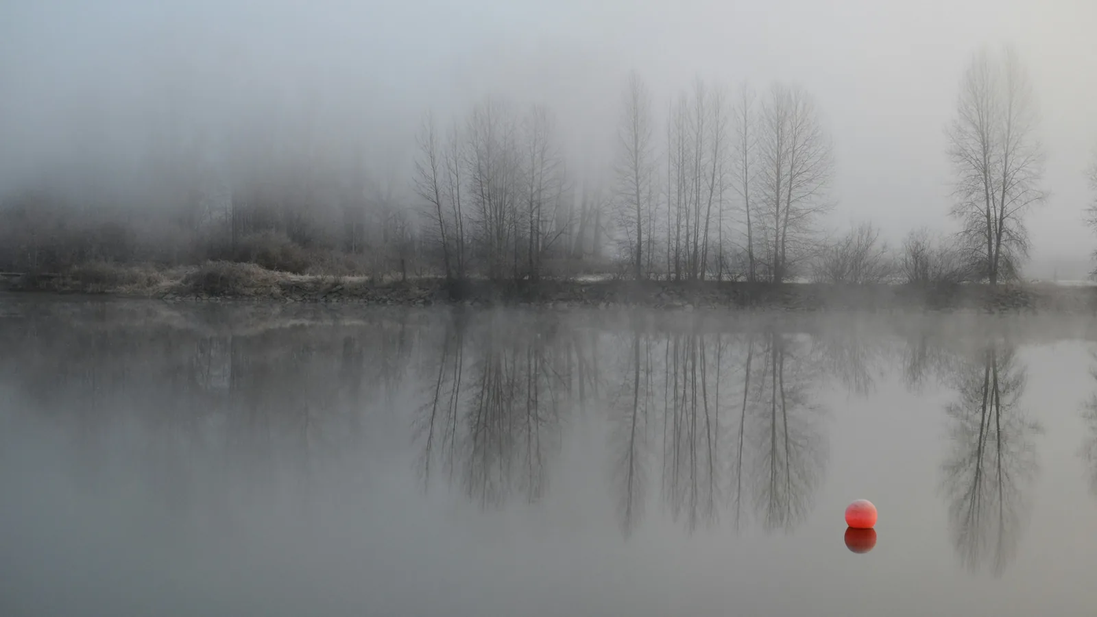 Still lake in morning fog with a single red buoy
