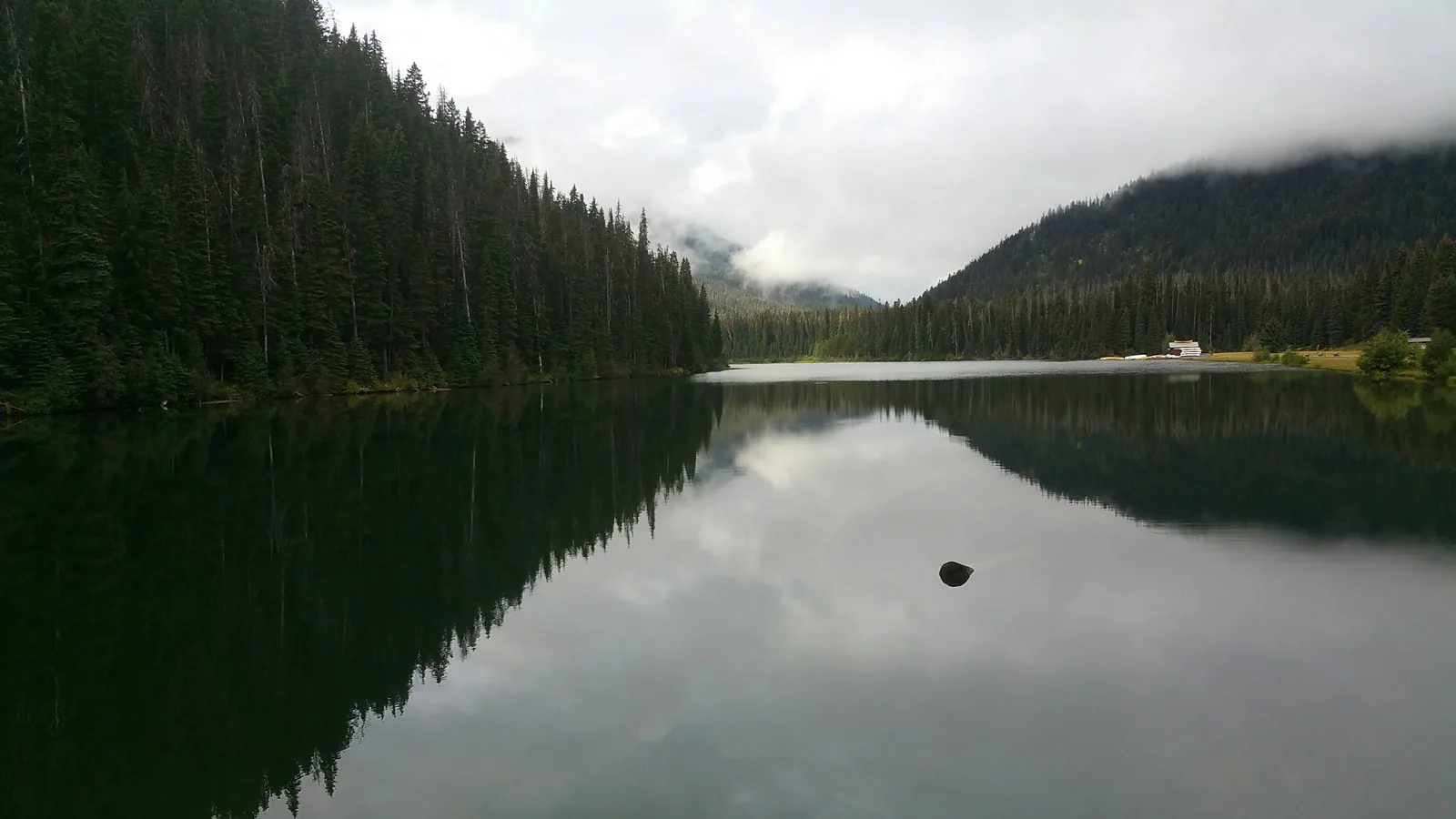 Mountain lake surrounded by evergreen forest