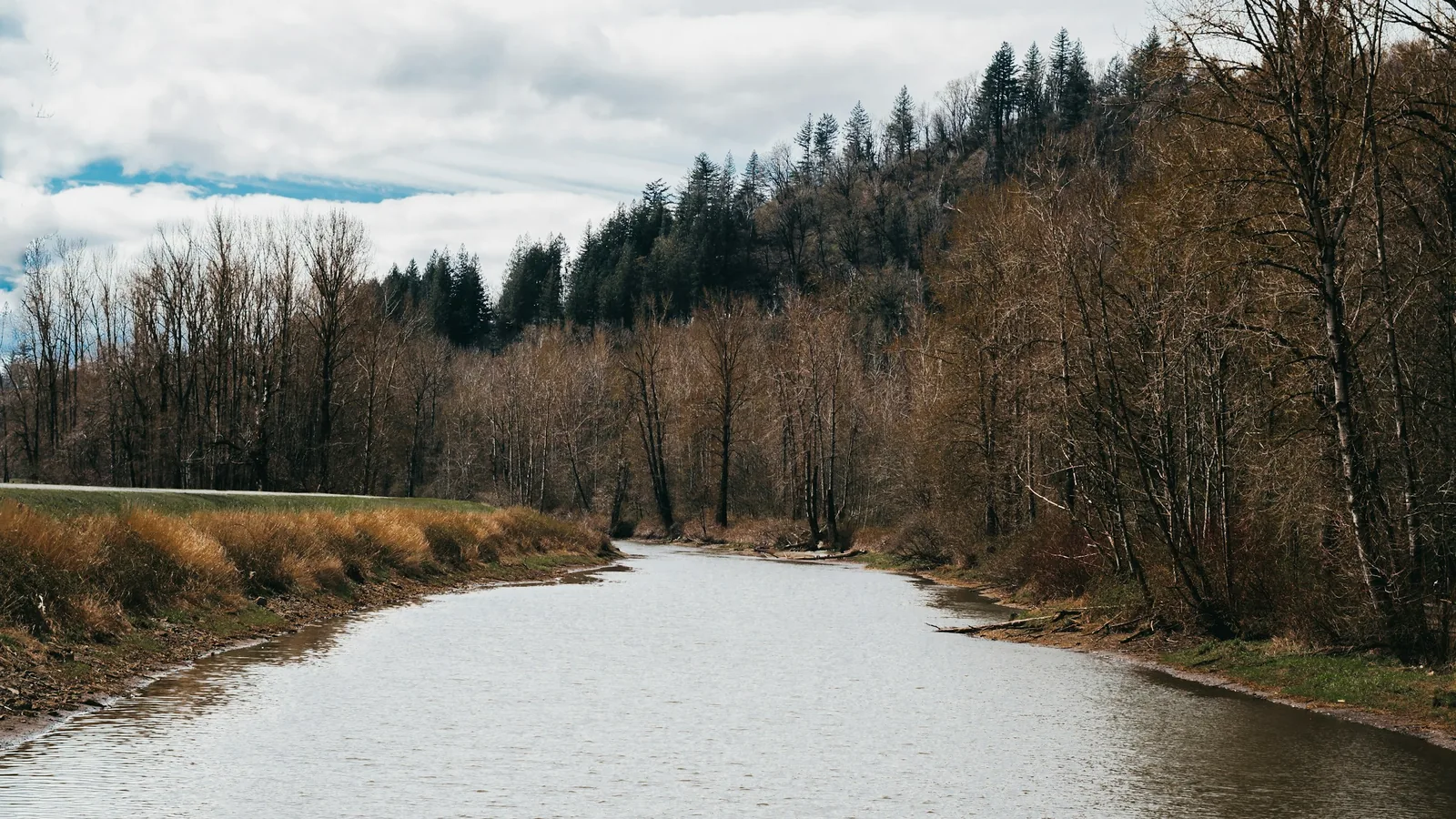 Looking down river 2 in Abbotsford