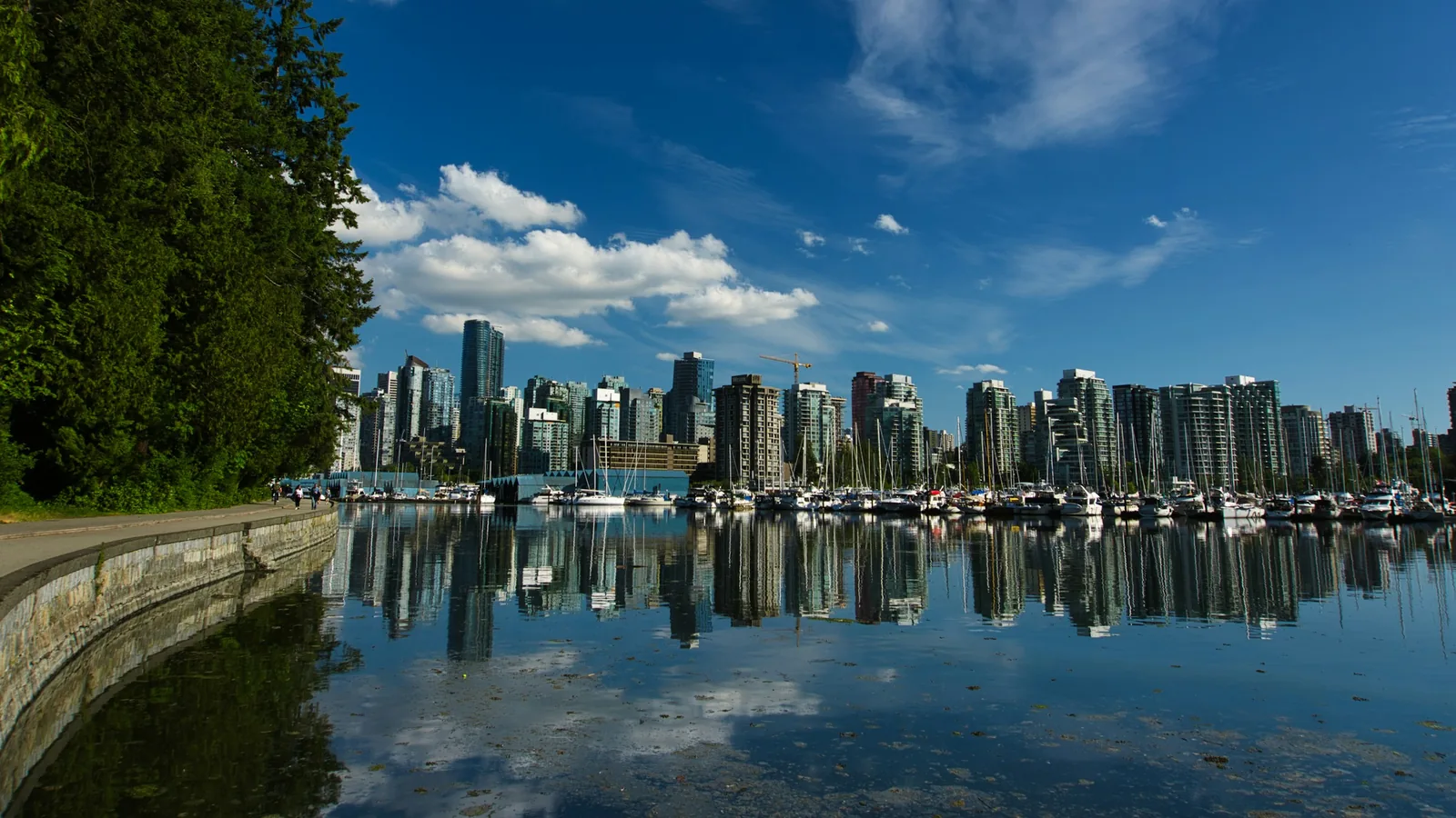 Shoreline at Vancouver