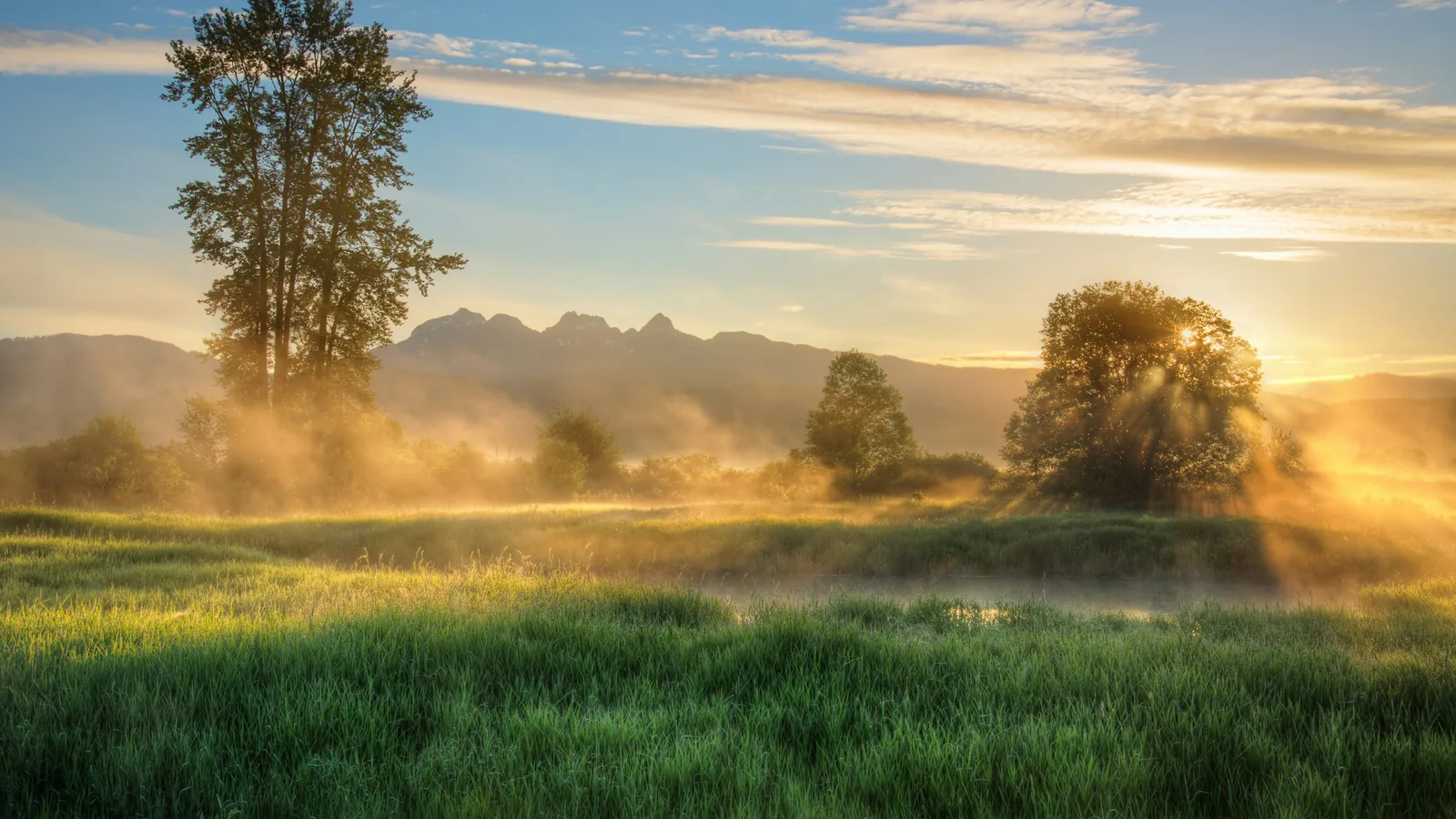 I am really happy with this photo but it does not do justice to what I actually saw. The mist catching the yellow morning sunlight was quite