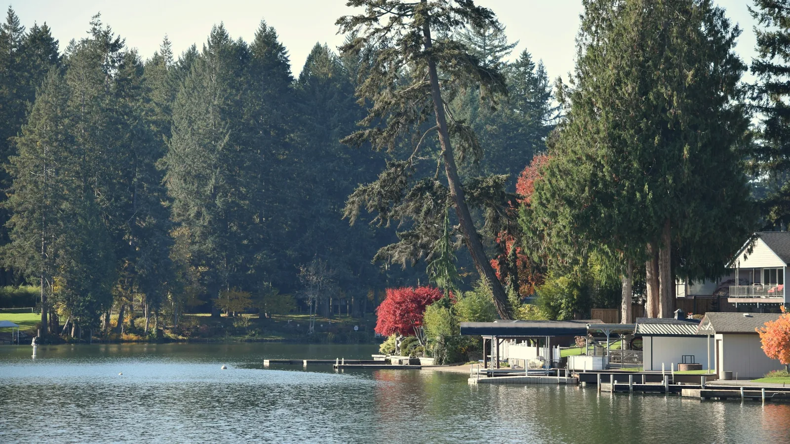 Lakeside homes with docks on a calm BC lake