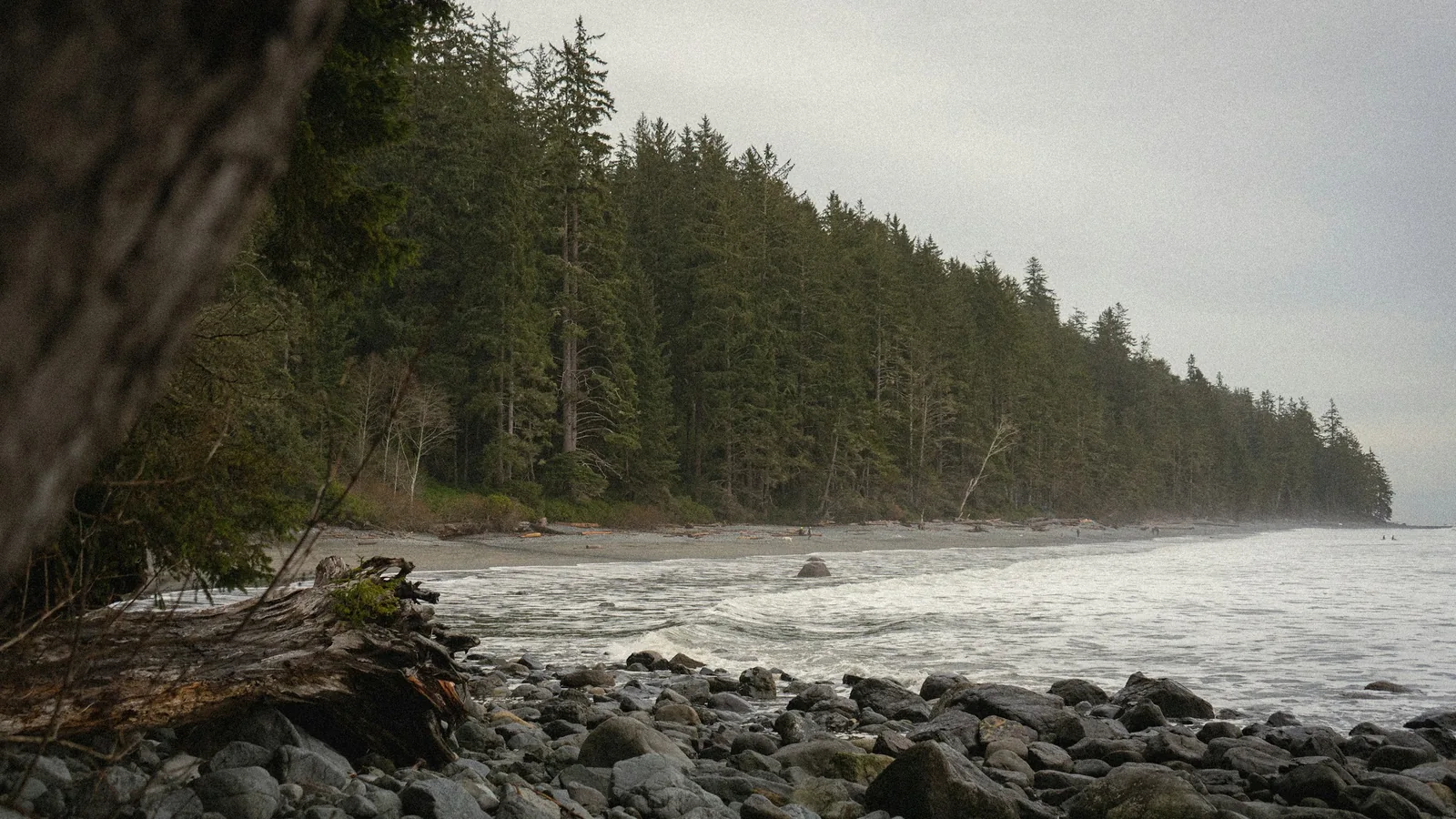 A rocky beach with trees and a boat in the water, the BC coast