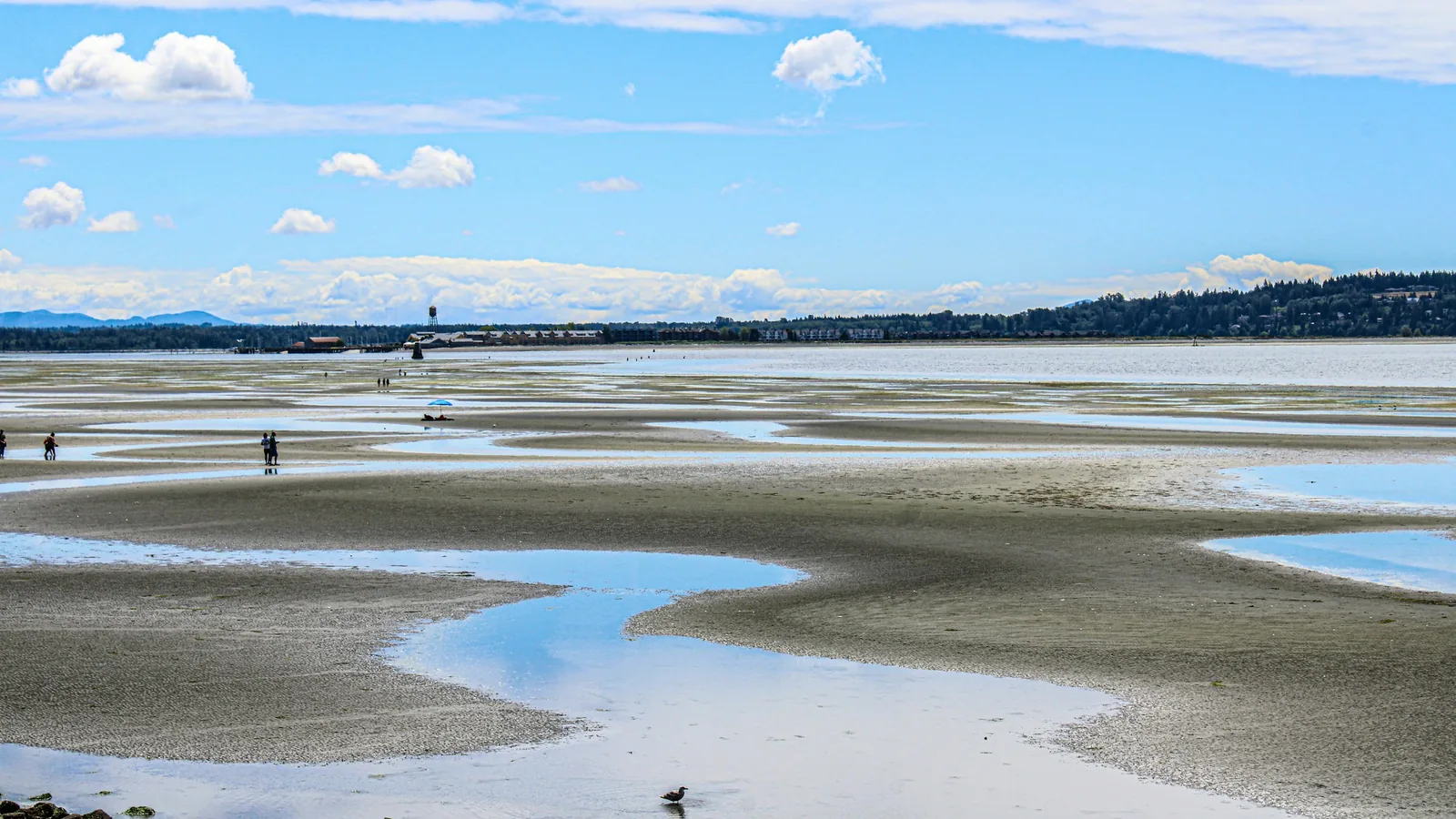 A large body of water with a sky in the background, the White Rock waterfront