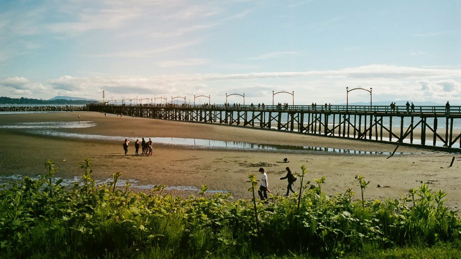 A group of people standing on top of a sandy beach, the White Rock waterfront