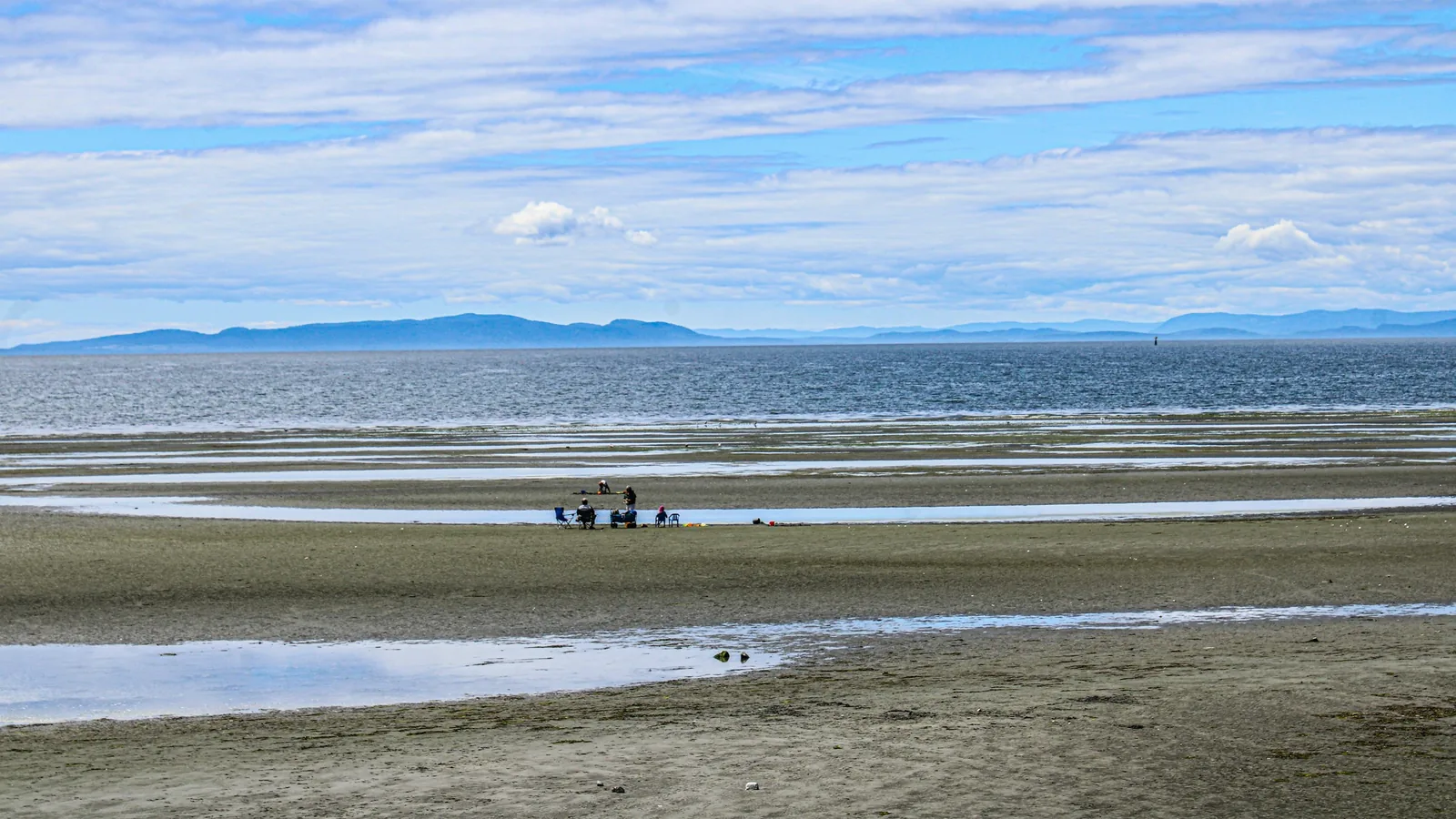 A group of people standing on top of a sandy beach, the White Rock waterfront