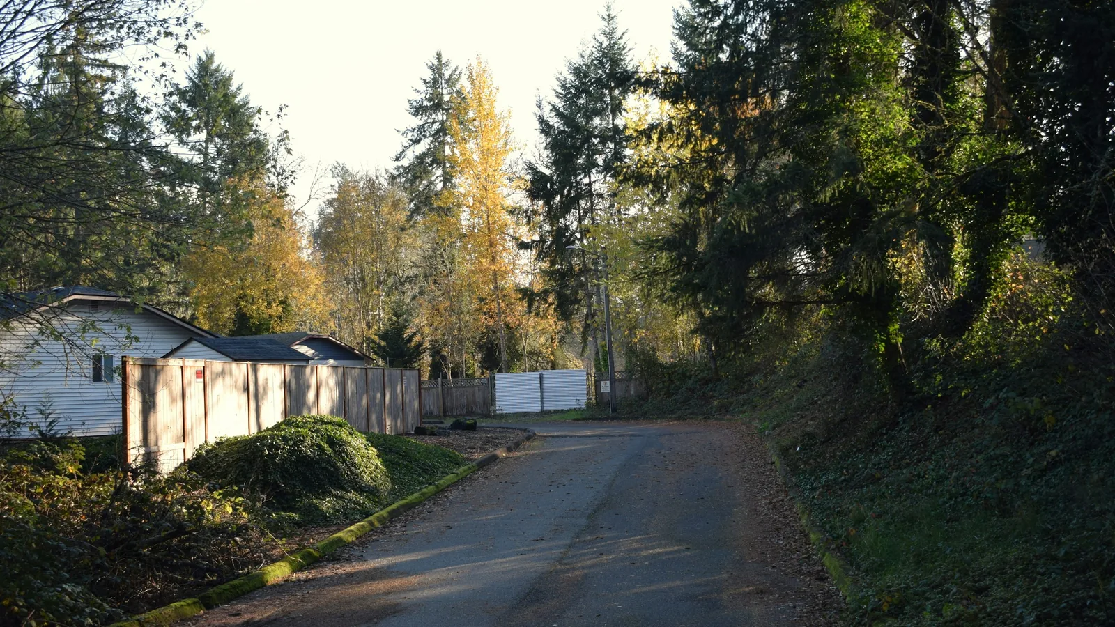 Quiet rural road through a Pacific Northwest neighbourhood