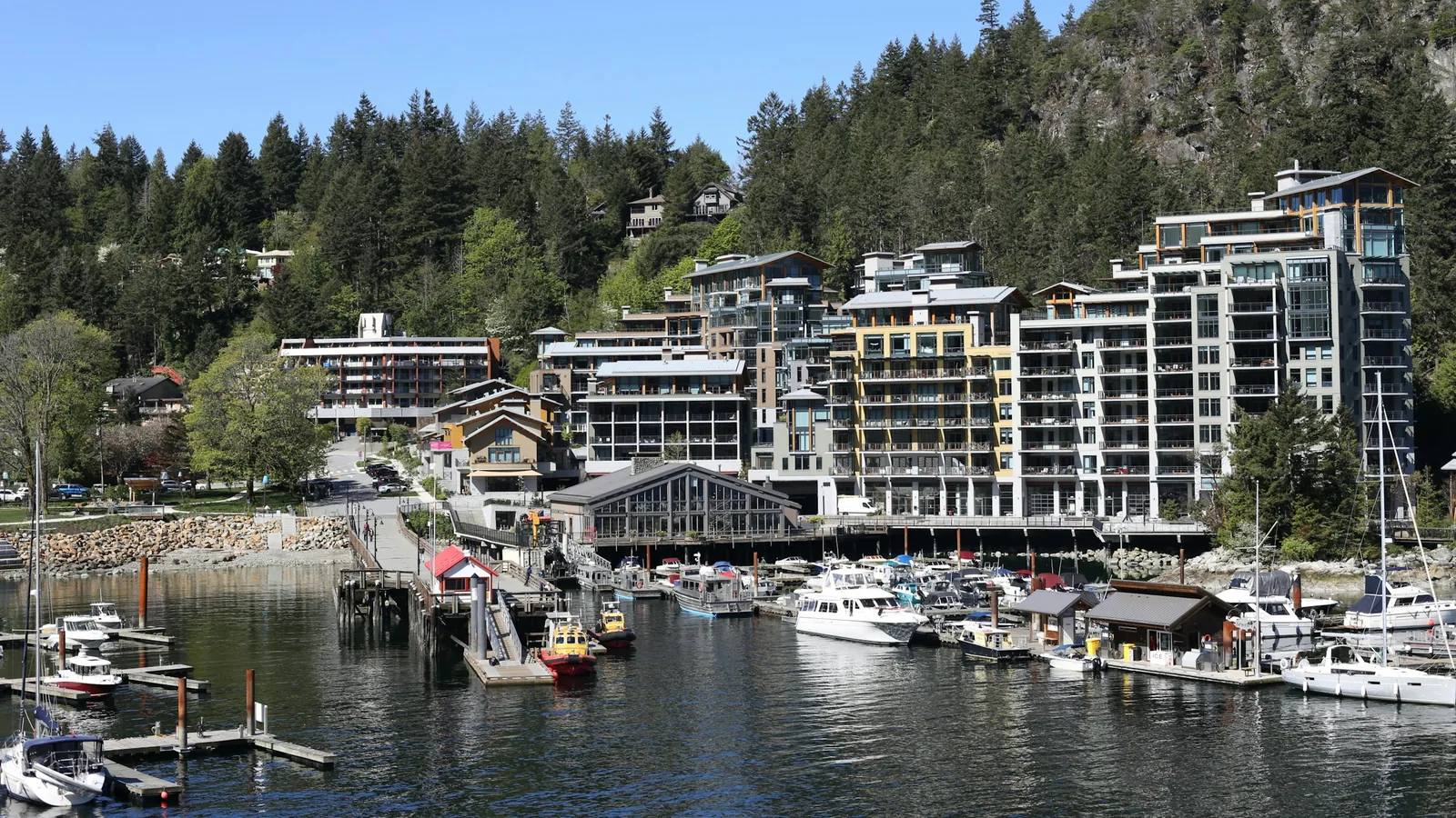 A group of boats are docked in a harbor, Vancouver's North Shore