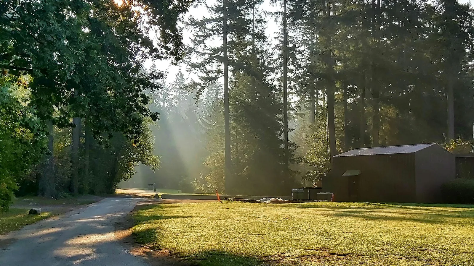 White and gray house surrounded by green trees in Burnaby