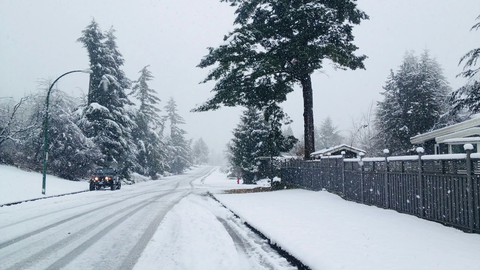 A snowy street with trees and a fence, a residential street