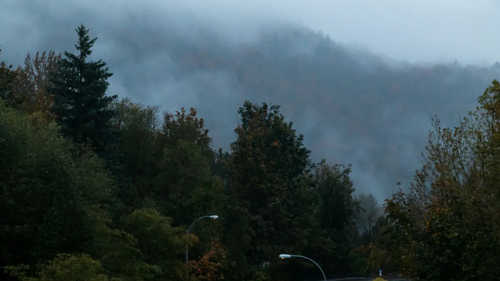 Fog-covered mountain behind winding street in Abbotsford