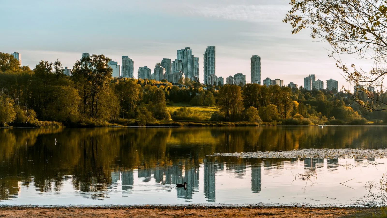 Sunset shoots around the city in Burnaby