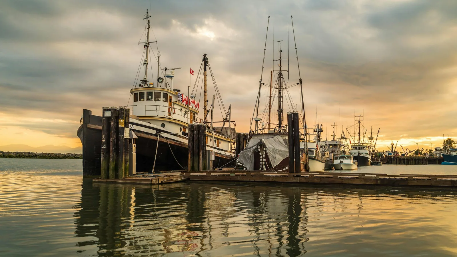 Fishing boats tied up at a dock in Steveston, Richmond, Canada at sunset with clouds and golden reflections on the water