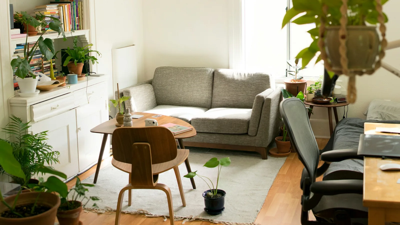 Cozy apartment living room with houseplants
