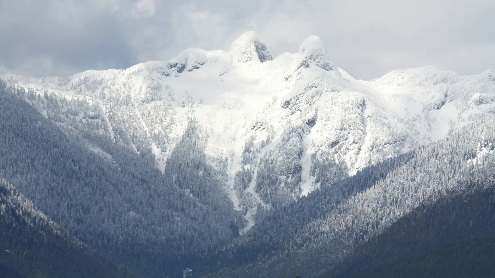 A mountain covered in snow with trees in the foreground, Vancouver's North Shore