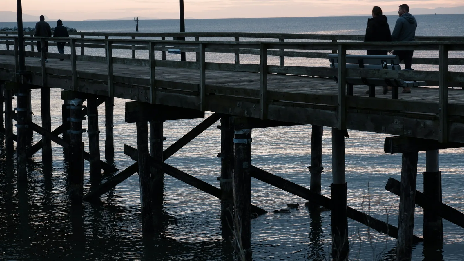 Walking the White Rock Pier at low tide