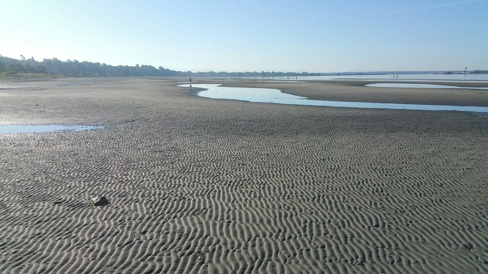 Rippled sand flats at low tide on White Rock beach